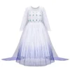 Girls Princess Costume Dress Snow Queen Mermaid Cosplay Christmas Birthday Party Carnival With Accessory Set